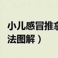 小儿感冒推拿治疗手法图解（小儿感冒推拿手法图解）