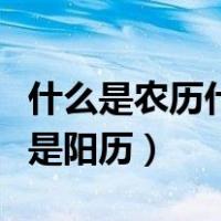 什么是农历什么是阳历出生（什么是农历什么是阳历）