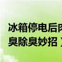 冰箱停电后肉臭了怎么去除味道（冰箱停电肉臭除臭妙招）