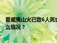 夏威夷山火已致6人死亡，有民众直接跳入海中躲避 这是什么情况？