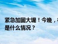 紧急加固大堤！今晚，松花江干流哈尔滨站或将出现洪峰 这是什么情况？