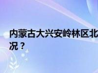 内蒙古大兴安岭林区北部林火仍有2起正在扑救 这是什么情况？