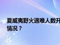 夏威夷野火遇难人数升至53人，总领馆紧急提醒 这是什么情况？