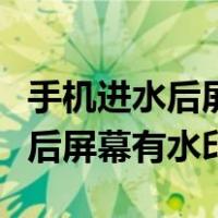 手机进水后屏幕有水印会不会消失（手机进水后屏幕有水印）