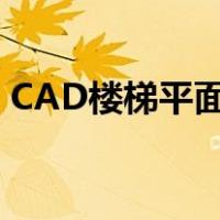 CAD楼梯平面图文件考试（cad楼梯平面图）