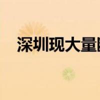 深圳现大量断供房？谣言 这是什么情况？