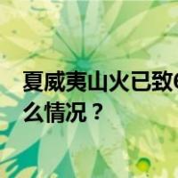 夏威夷山火已致6人死亡，有民众直接跳入海中躲避 这是什么情况？