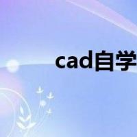 cad自学入门制图（cad自学入门）