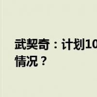 武契奇：计划10月访华并与俄罗斯总统普京会面 这是什么情况？