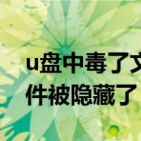 u盘中毒了文件被隐藏了mac（u盘中毒了文件被隐藏了）