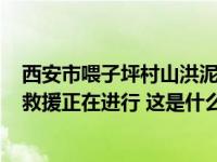 西安市喂子坪村山洪泥石流已造成2人死亡16人失联，抢险救援正在进行 这是什么情况？