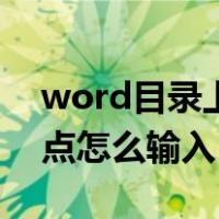 word目录上的点点点怎么打（word目录点点怎么输入）