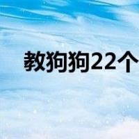 教狗狗22个动作手势（教狗狗22个动作）