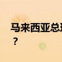 马来西亚总理安瓦尔会见王毅 这是什么情况？