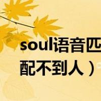 soul语音匹配不到人怎么解决（soul语音匹配不到人）