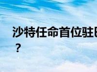 沙特任命首位驻巴勒斯坦大使 这是什么情况？