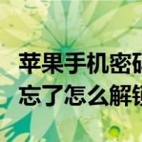 苹果手机密码忘了怎么解锁屏（苹果手机密码忘了怎么解锁）