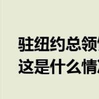 驻纽约总领馆发言人：媚美卖台，注定失败 这是什么情况？