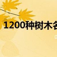 1200种树木名称（1200树木名称大全图册）