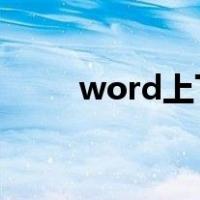 word上下页（网页文字无法复制）