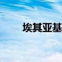 埃其亚基多久刷新一次（埃其亚基）