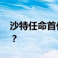 沙特任命首位驻巴勒斯坦大使 这是什么情况？