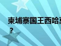 柬埔寨国王西哈莫尼会见王毅 这是什么情况？