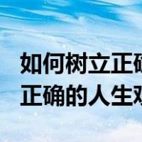 如何树立正确的人生观800字论文（如何树立正确的人生观）