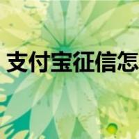 支付宝征信怎么查询（支付宝征信在哪里查）