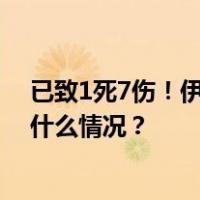 已致1死7伤！伊朗设拉子市“灯王之墓”遭恐怖袭击 这是什么情况？