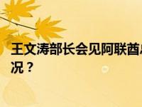 王文涛部长会见阿联酋总统中国事务特使哈勒敦 这是什么情况？