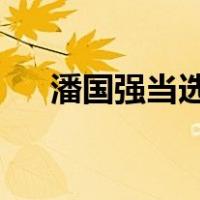 潘国强当选扬州市市长 这是什么情况？