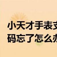 小天才手表支付宝密码忘了怎么办（支付宝密码忘了怎么办）