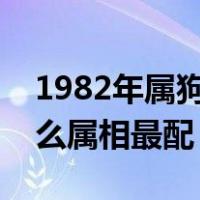 1982年属狗女和什么属相最配（属狗女和什么属相最配）