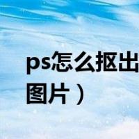 ps怎么抠出想要的部分（ps抠图放到另一张图片）