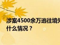 涉案4500余万逃往境外，警方劝返一名“猎狐”逃犯 这是什么情况？