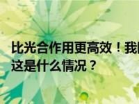 比光合作用更高效！我国二氧化碳精准合成己糖取得新进展 这是什么情况？