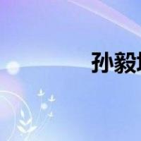 孙毅坤被查 这是什么情况？