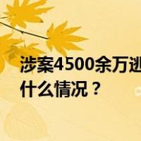 涉案4500余万逃往境外，警方劝返一名“猎狐”逃犯 这是什么情况？