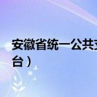 安徽省统一公共支付平台电子发票（安徽省统一公共支付平台）