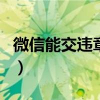 微信能交违章罚款吗（微信可以交违章罚款吗）