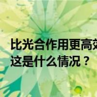 比光合作用更高效！我国二氧化碳精准合成己糖取得新进展 这是什么情况？