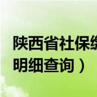 陕西省社保缴费查询明细查询（社保缴费查询明细查询）