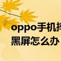 oppo手机摔黑屏怎么办解决（oppo手机摔黑屏怎么办）