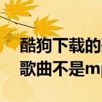 酷狗下载的歌曲不是mp3文件（酷狗下载的歌曲不是mp3）