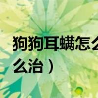 狗狗耳螨怎么治用什么滴耳液药（狗狗耳螨怎么治）