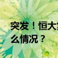 突发！恒大集团在美国申请破产保护 这是什么情况？