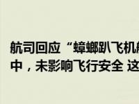 航司回应“蟑螂趴飞机舷窗旅行3000公里”：它在玻璃空隙中，未影响飞行安全 这是什么情况？