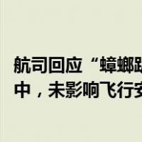 航司回应“蟑螂趴飞机舷窗旅行3000公里”：它在玻璃空隙中，未影响飞行安全 这是什么情况？