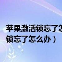 苹果激活锁忘了怎么办ID密码都忘了 可以刷机吗（苹果激活锁忘了怎么办）